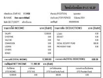 ตัวอย่างรายงานสลิปเงินเดือนแบบเต็มและแบบย่อ